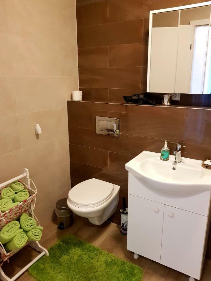 Jasmine Apartament Sighișoara Zewnętrze zdjęcie